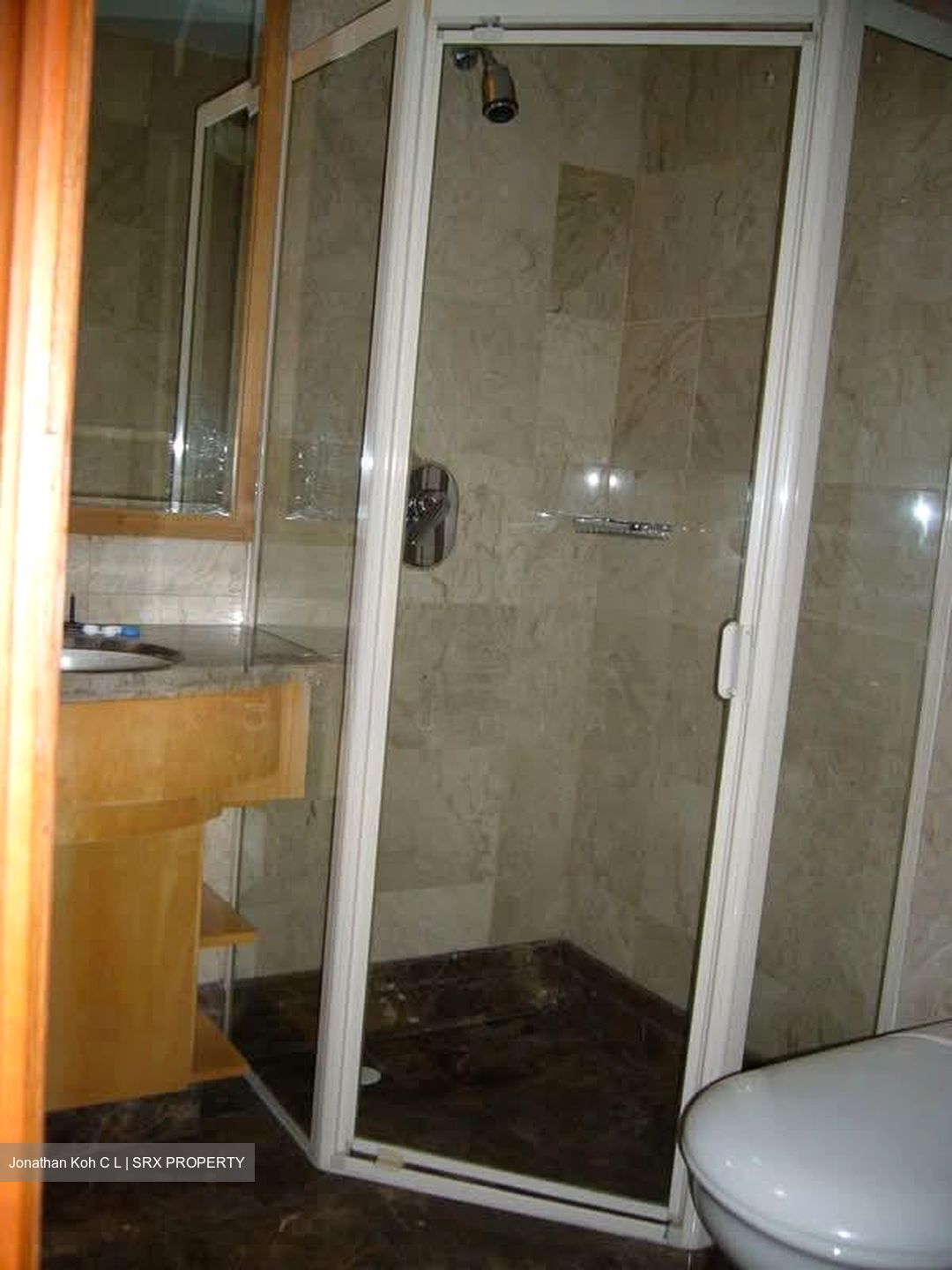 Tanglin View (D3), Condominium #540086211